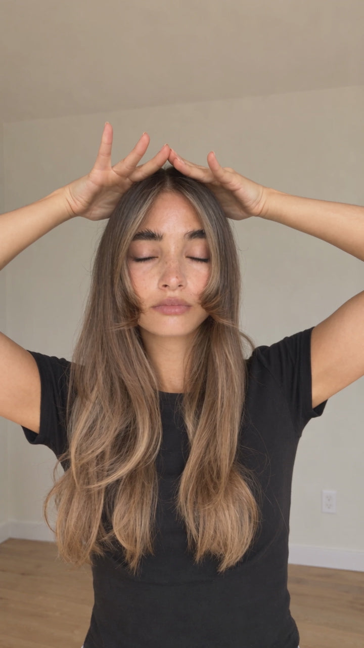 Brunette met paarse ombre Volumizer Clip - tutorial